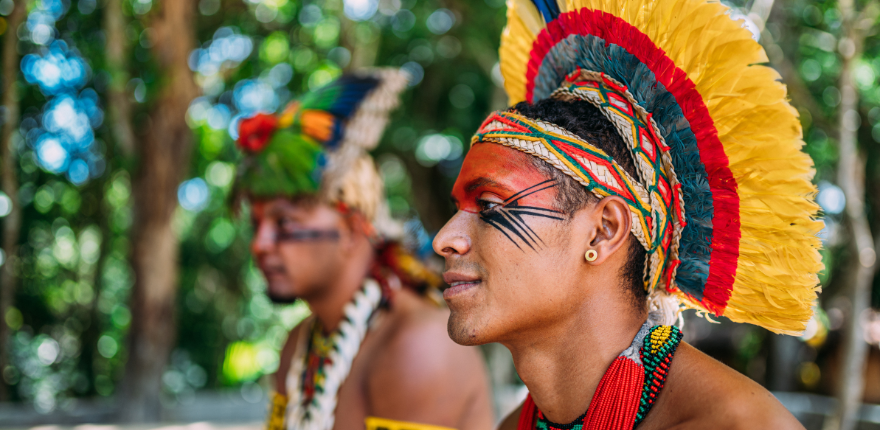 ImagemPovosIndigenaw 880X430.png